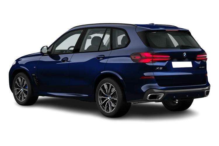 BMW X5 Rear View