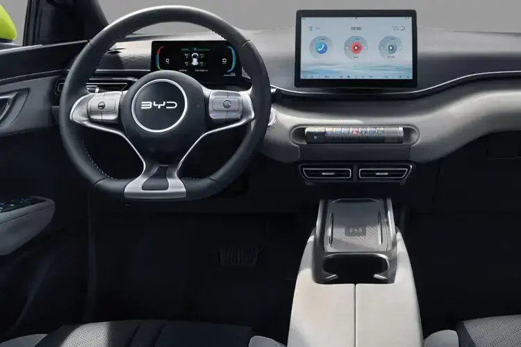 BYD DOLPHIN SURF Dashboard View