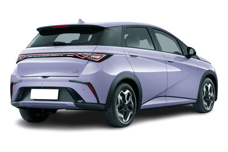 BYD DOLPHIN Rear View
