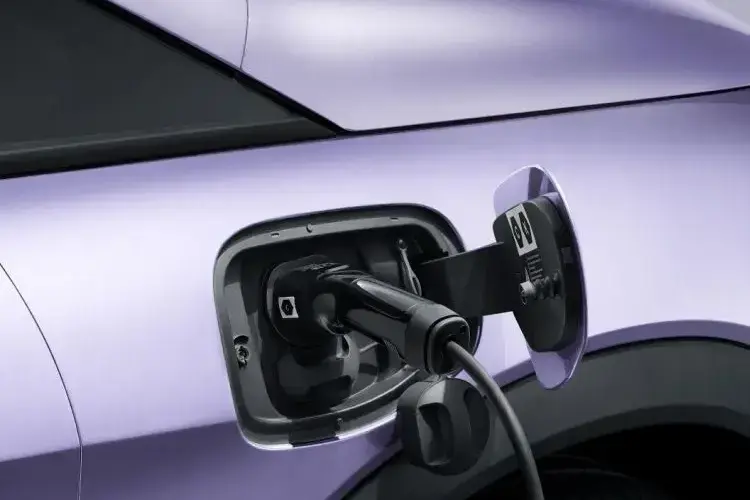 BYD DOLPHIN Detail View