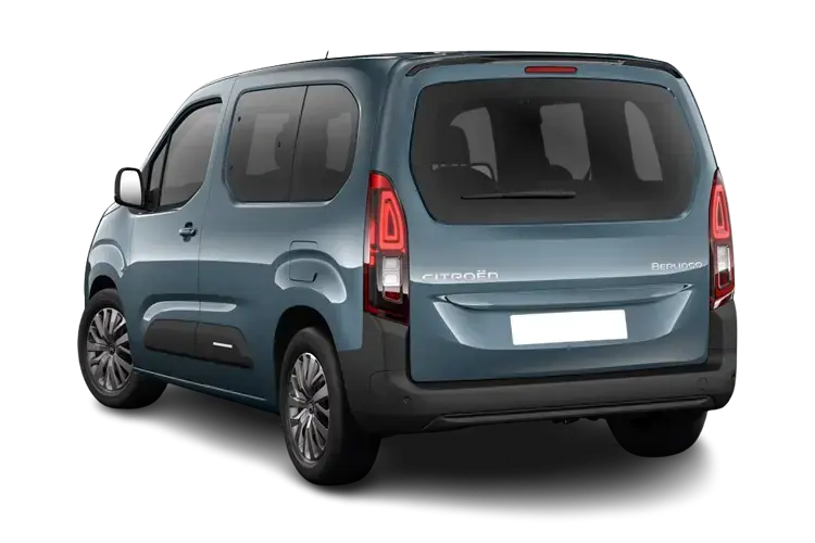CITROEN BERLINGO Rear View