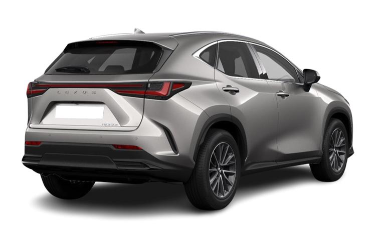LEXUS NX Rear View