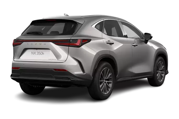 LEXUS NX Rear View