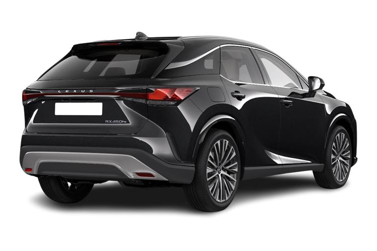 LEXUS RX Rear View