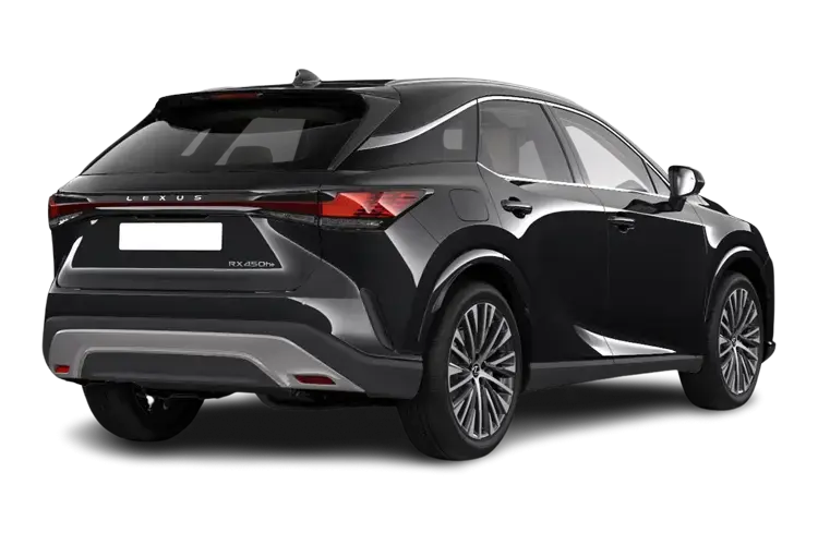 LEXUS RX Rear View