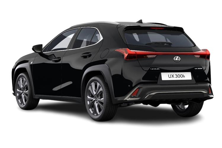 LEXUS UX Rear View