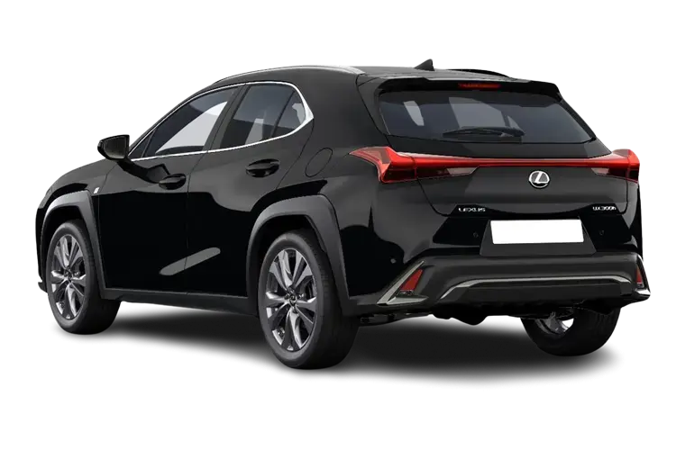 LEXUS UX Rear View